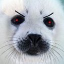 Angry_Seal