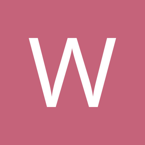 wael